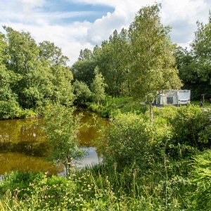 Redwell   17 06 2020   D500   Les 511.jpg